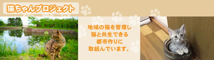 �L�����v���W�F�N�g���c�J��