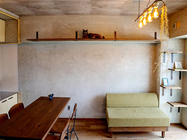 �y�b�g�Ƌ���