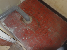 �g�C��������