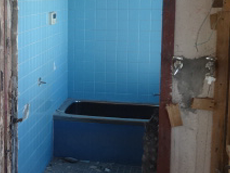 �����C�����O