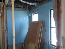 �����C������